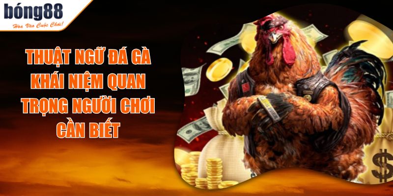 Thuật Ngữ Đá Gà - Khái Niệm Quan Trọng Người Chơi Cần Biết 7 Thuật Ngữ Đá Gà - Khái Niệm Quan Trọng Người Chơi Cần Biết